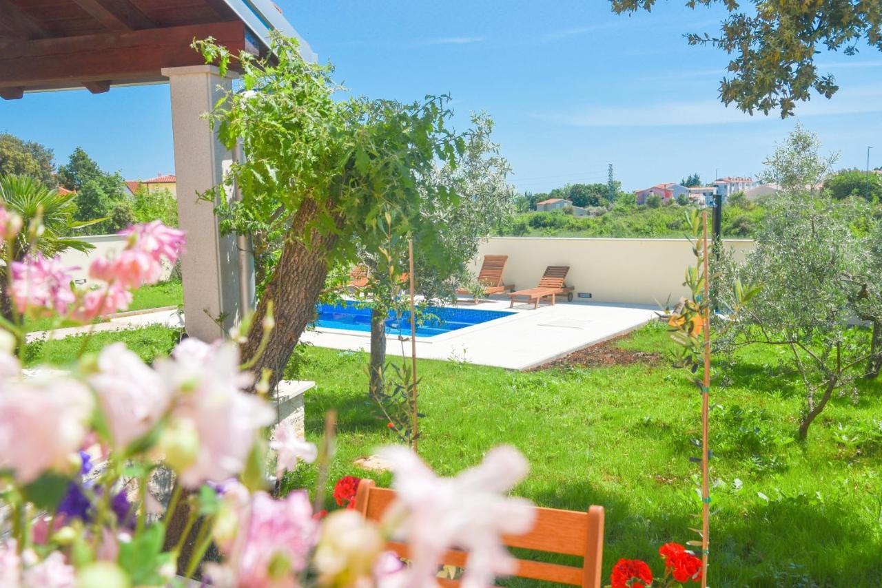 Holiday Home - Istrian Dream With Swimming Pool Peroj Zewnętrze zdjęcie