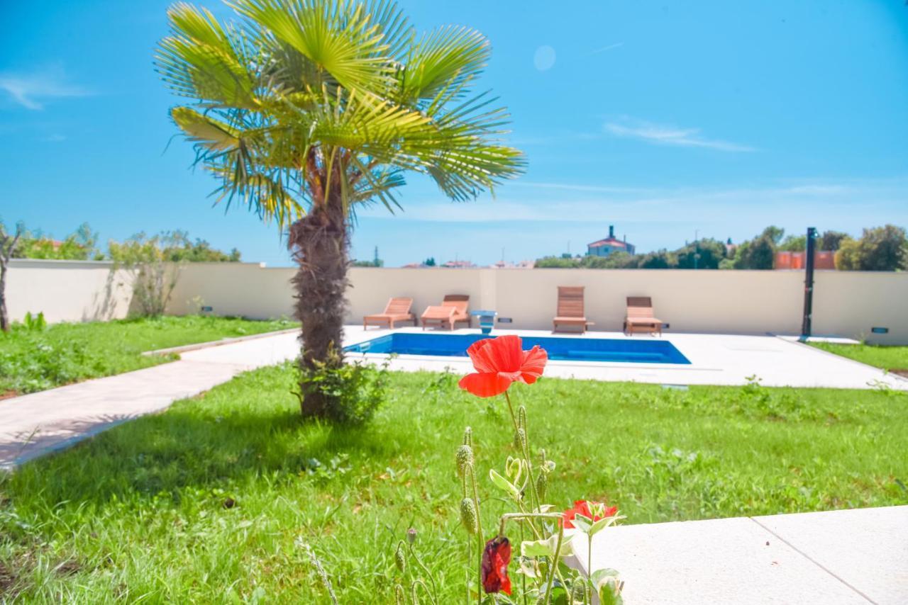 Holiday Home - Istrian Dream With Swimming Pool Peroj Zewnętrze zdjęcie